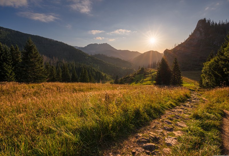 #landscape #panoramic #photo #nikon #poland #adventure #sunset  #mountains #sky #tree #nature #outdoors Western Tatrasphoto preview