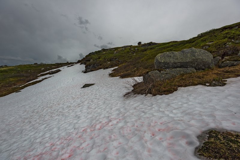 ...прошлогодний снегphoto preview