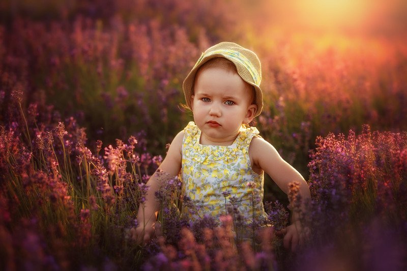 девочка, ребенок, детство, деловая, поле, лаванда, закат, , , , вечер Соломия и вечерняя лавандаphoto preview