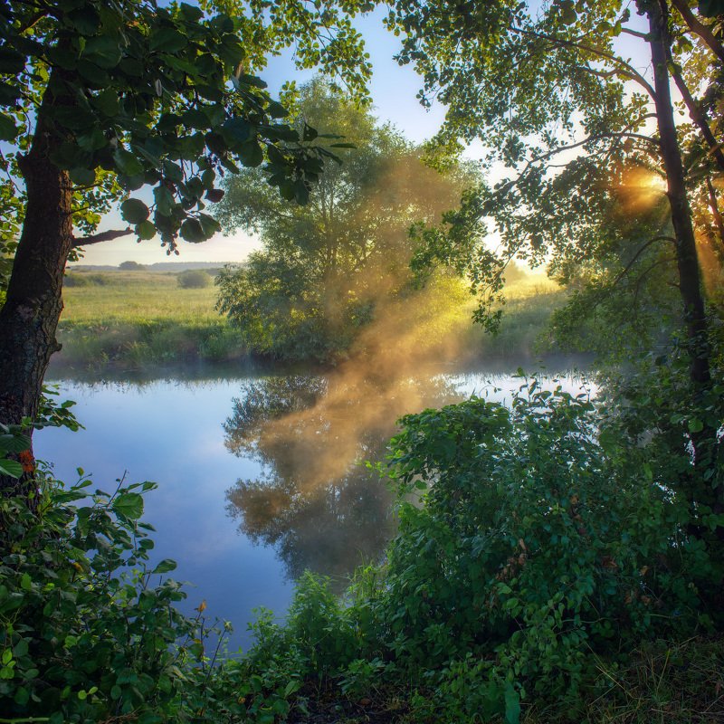 волчья, лето, река, утро Летнее утро на берегу рекиphoto preview