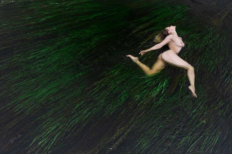 Mermaid\'s dreamphoto preview