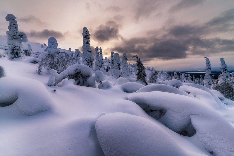 Заснувшие до весныphoto preview