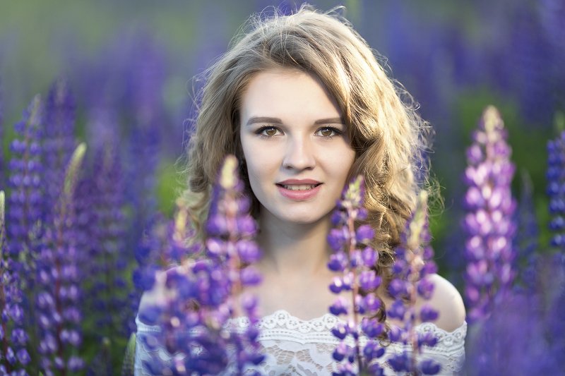 Among the lupinsphoto preview