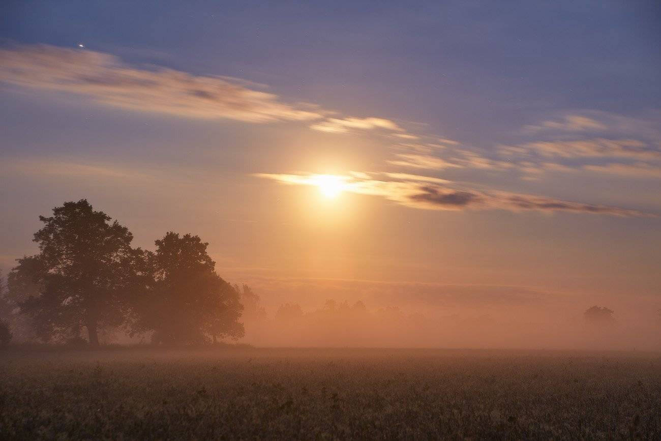 беларусь, июль, лето, луна, ночь, туман, уса, Вейзе Максим
