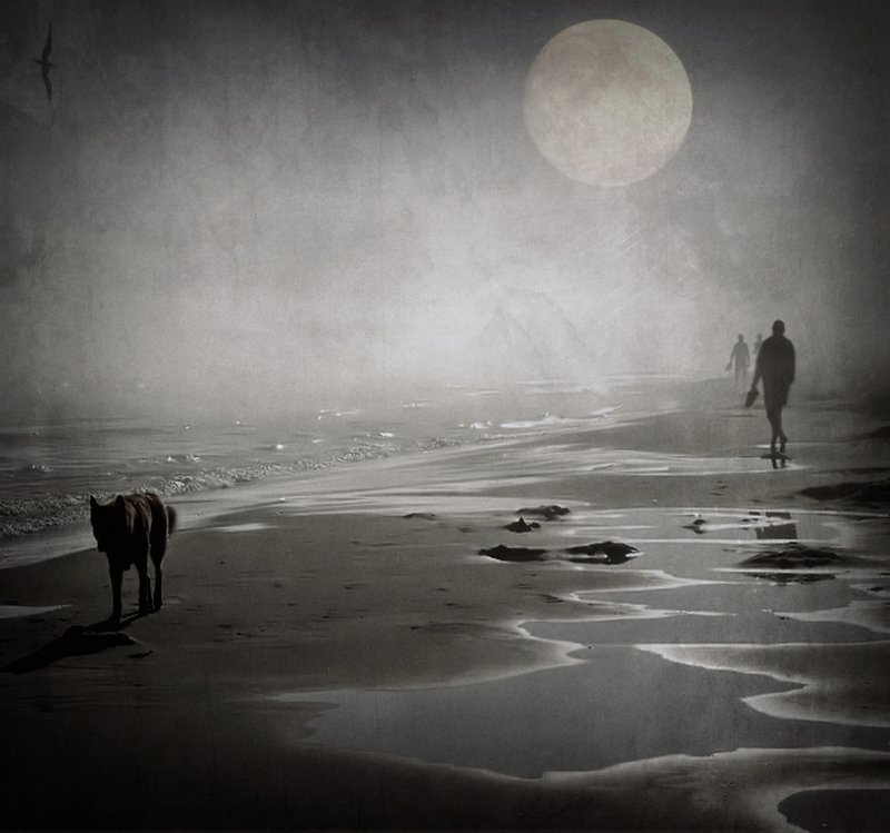 Sleepwalkers...photo preview