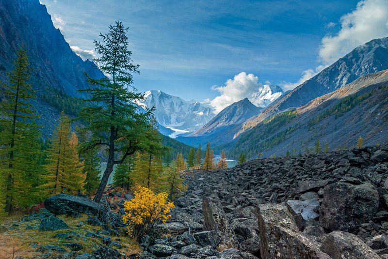 Маашейphoto preview