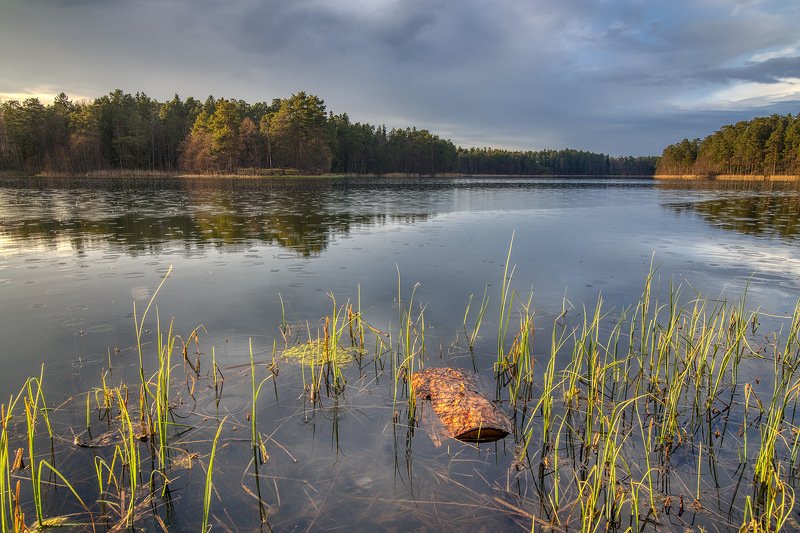 Дождьphoto preview