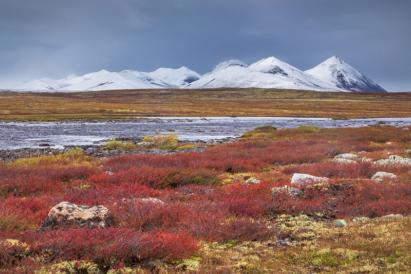 Чибагалах, Индигирка, Табандинская впадина, озеро Тобандя, водораздел, Чемалгинский хребет, хребет Черского, Момский район, Якутия, экспедиция, фотоэкспедиция, конный поход, тундра, горная тундра, крайний север, заполярье Алая тишьphoto preview