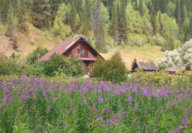 *** фото превью