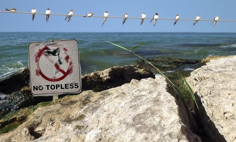 одесса ХАДЖИБЕЙphoto preview