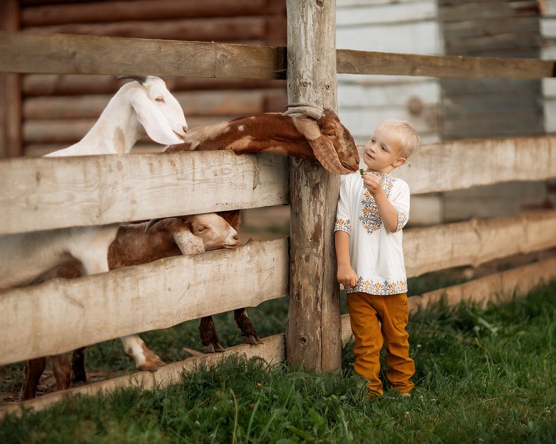 семейноефото Кирюша и козочкиphoto preview