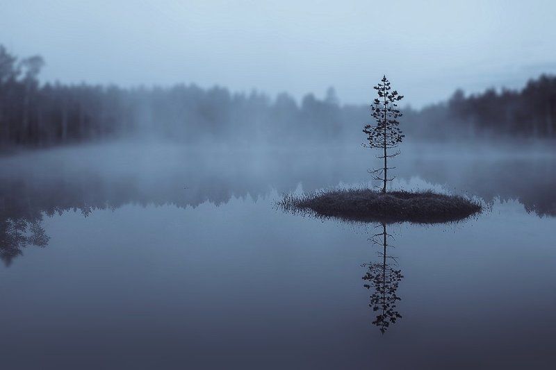 На севере диком...photo preview