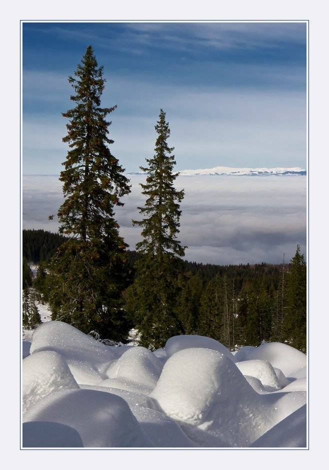 bulgaria, , vitosha, Svetoslav