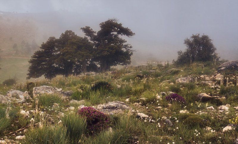 Туманно.photo preview