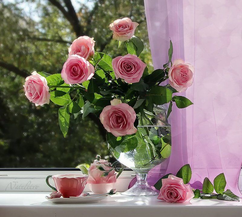 натюрморт, цветы, розы В ожидании весныphoto preview