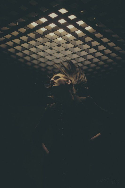 Carvingphoto preview