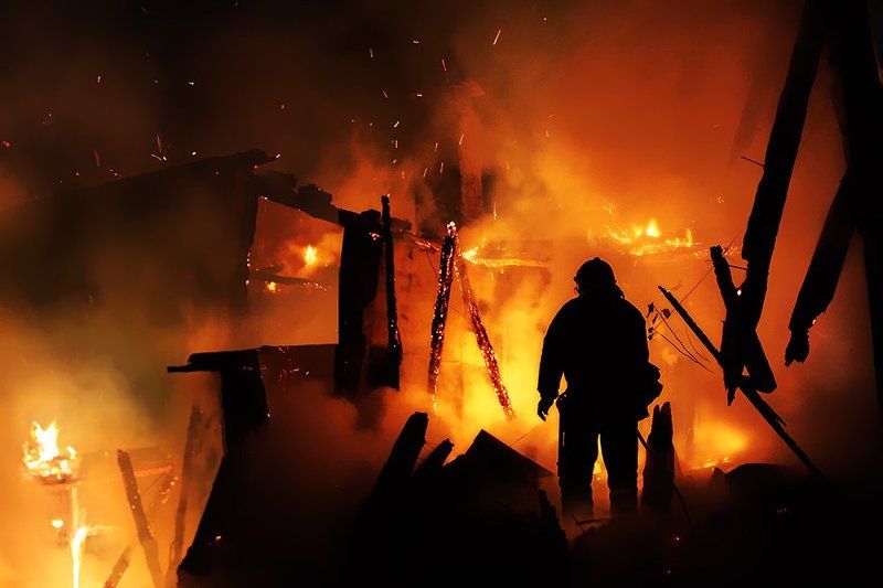 the bravestphoto preview