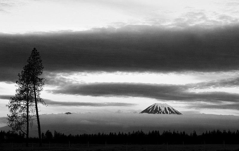 Средиземье. Особенная Новая Зеландия.photo preview