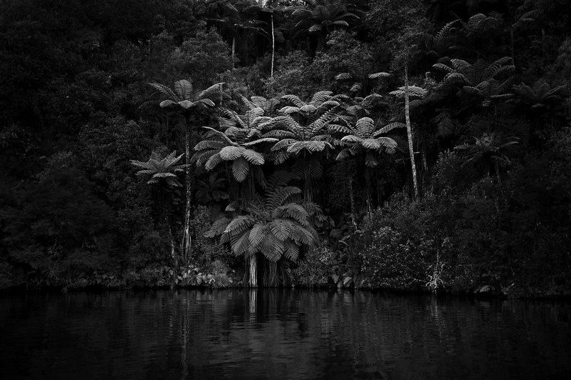 Средиземье. Особенная Новая Зеландия.(ч.2)photo preview