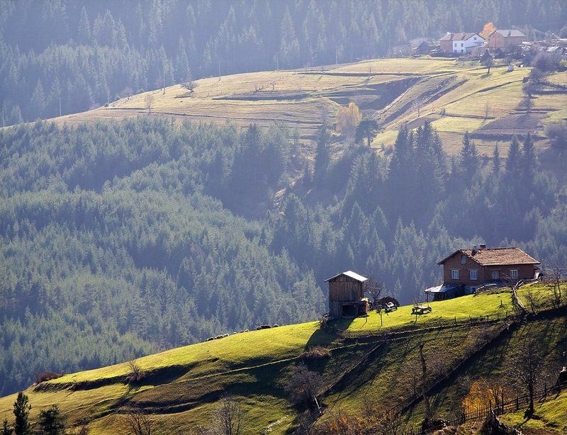 Родопиphoto preview