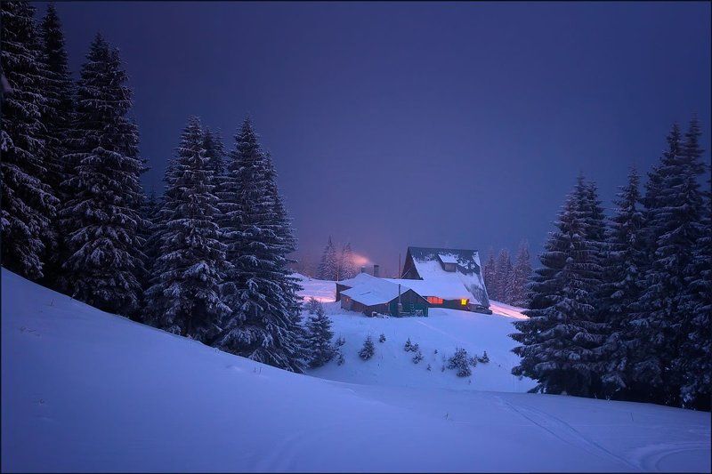 Колибаphoto preview