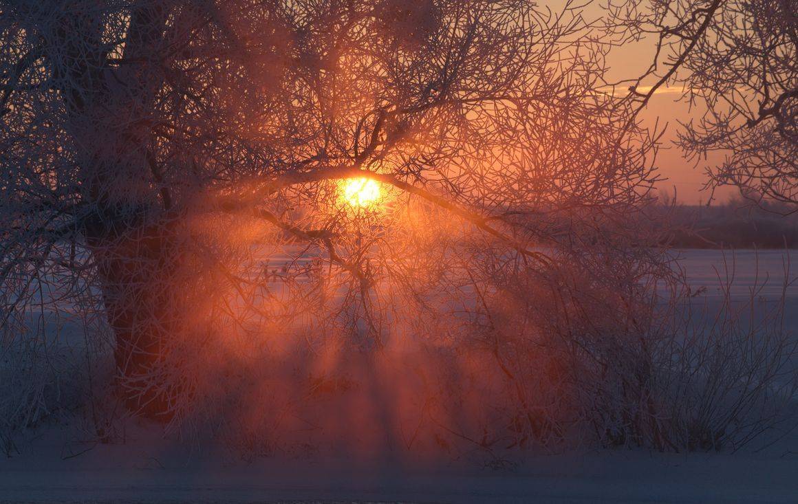 Морозное утро. Автор: Володимир Карчевський , Володимир Карчевський