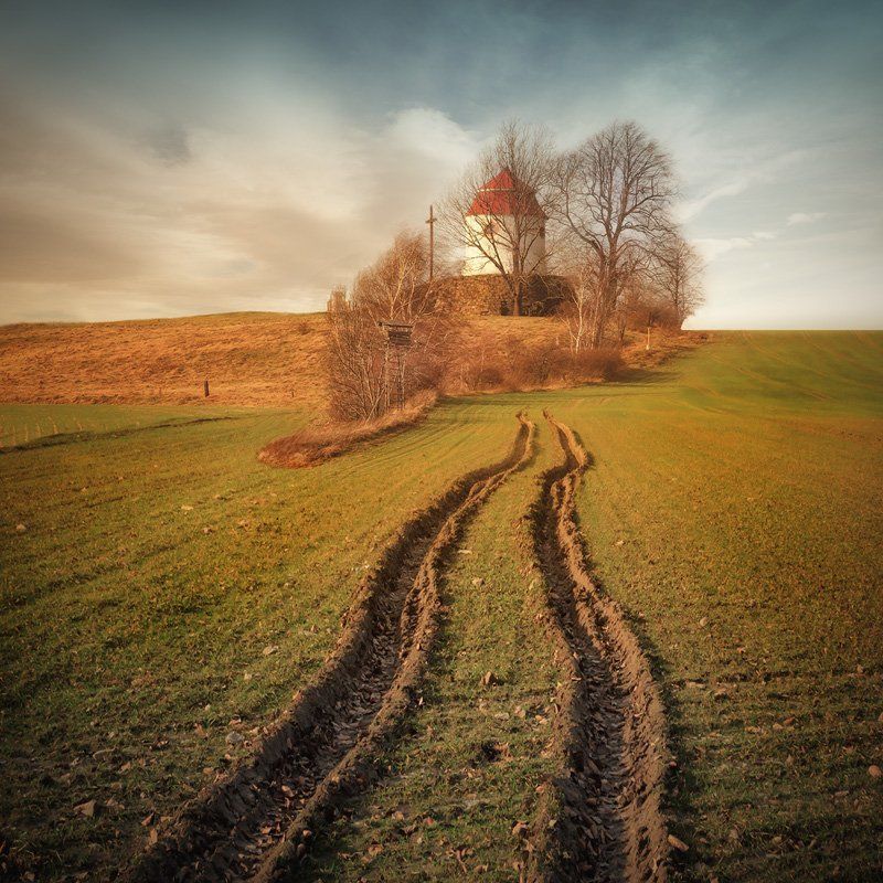 Hidden in the treesphoto preview