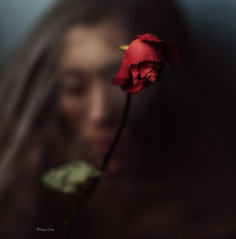 портрет, цветы, дыхание Ноктюрнphoto preview