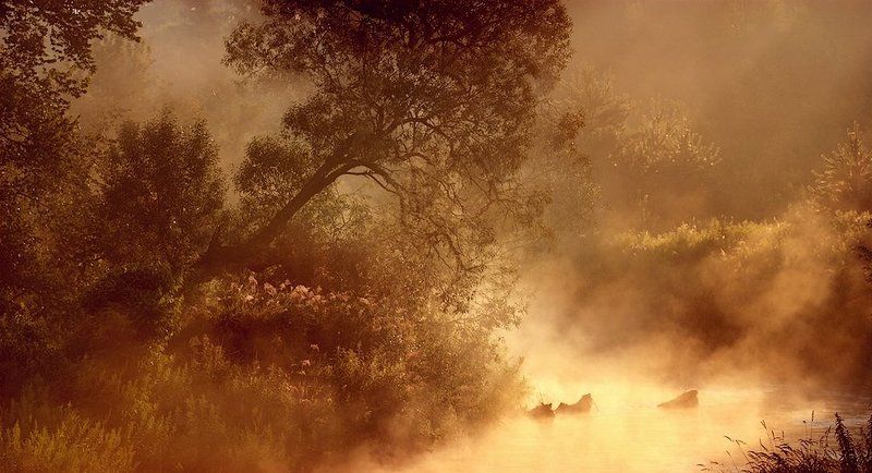 . фото превью