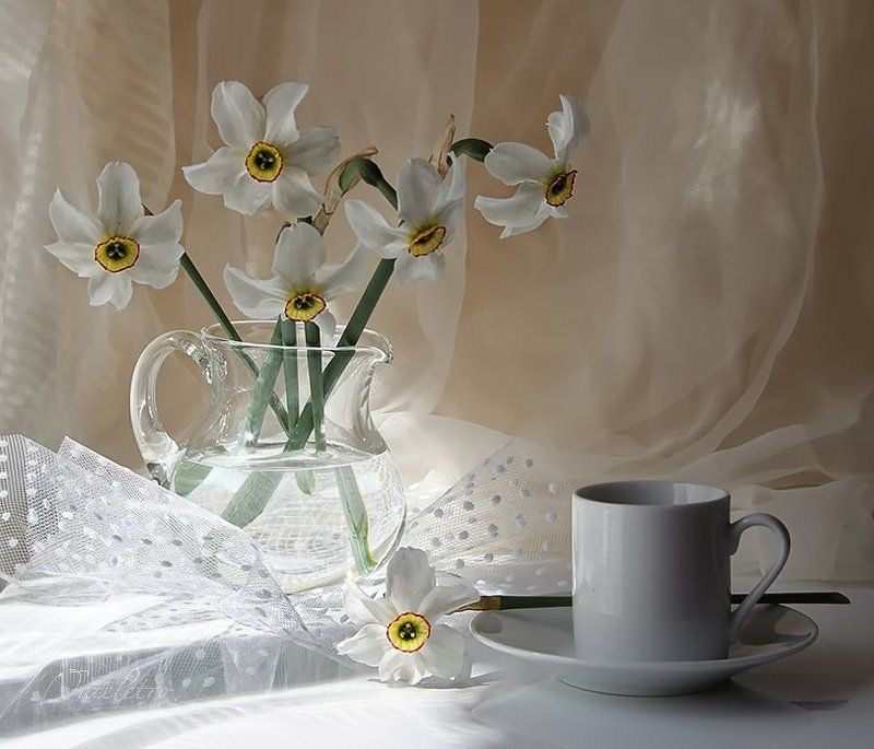 натюрморт, цветы, , нарцисс Чашечка утраphoto preview