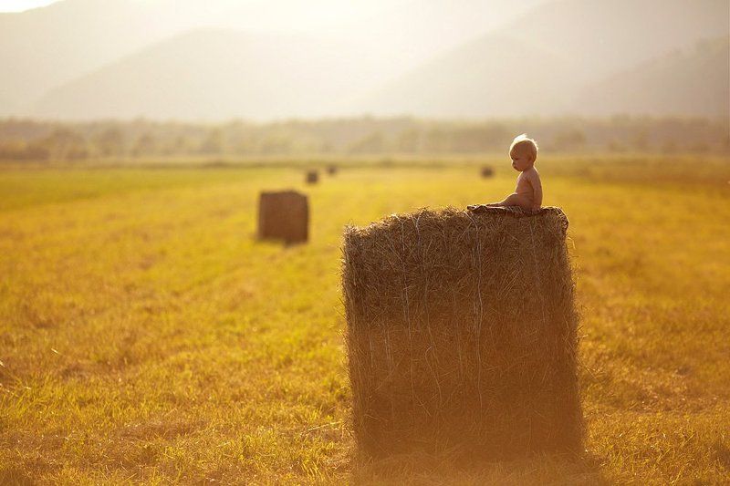 Провожая летоphoto preview