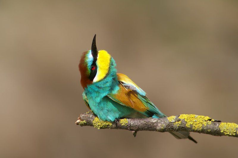 Медитацияphoto preview