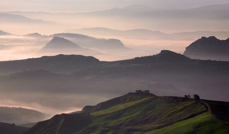 sleepwalkingphoto preview