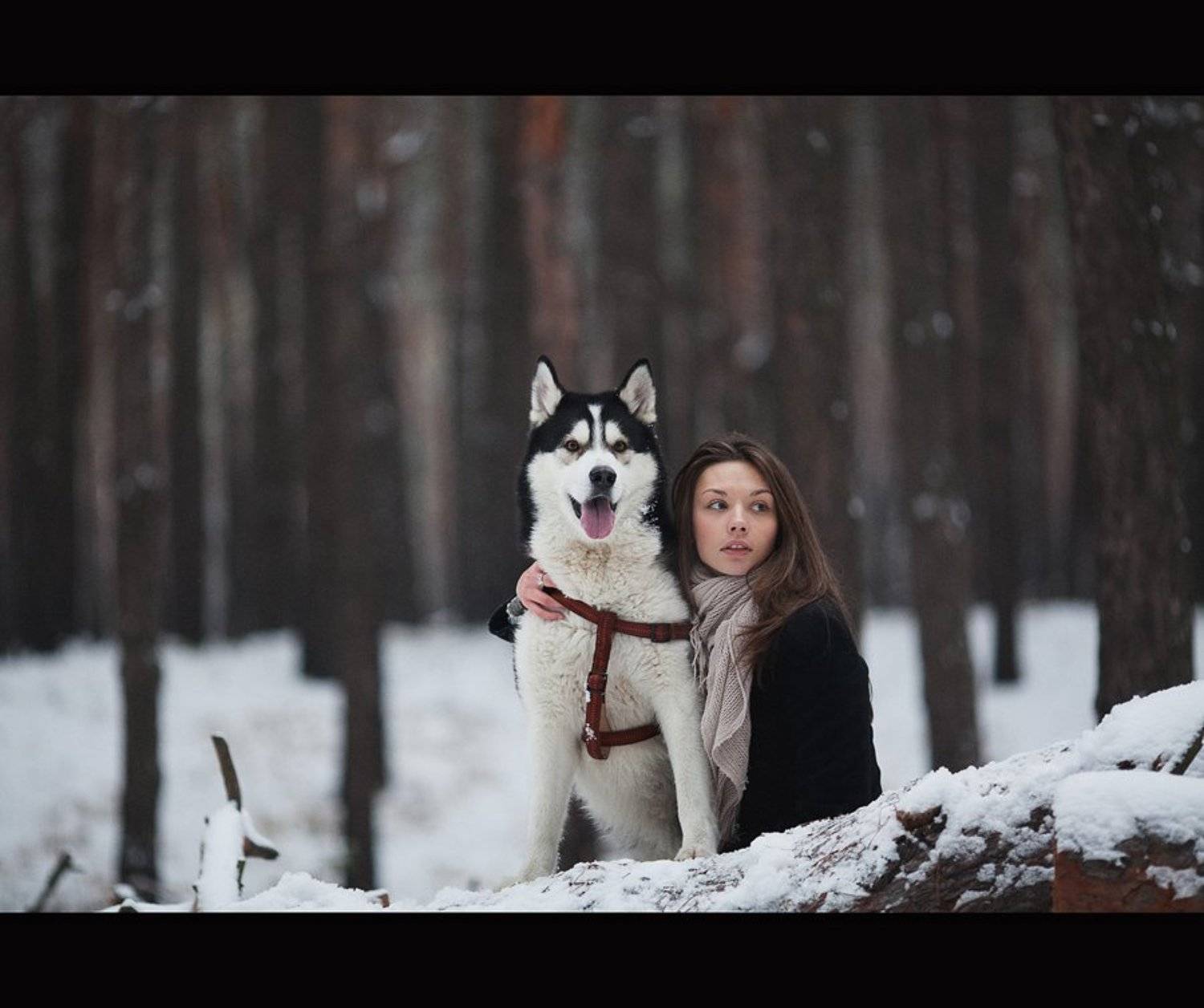 ***. Автор: Denis Gruba , Denis Gruba