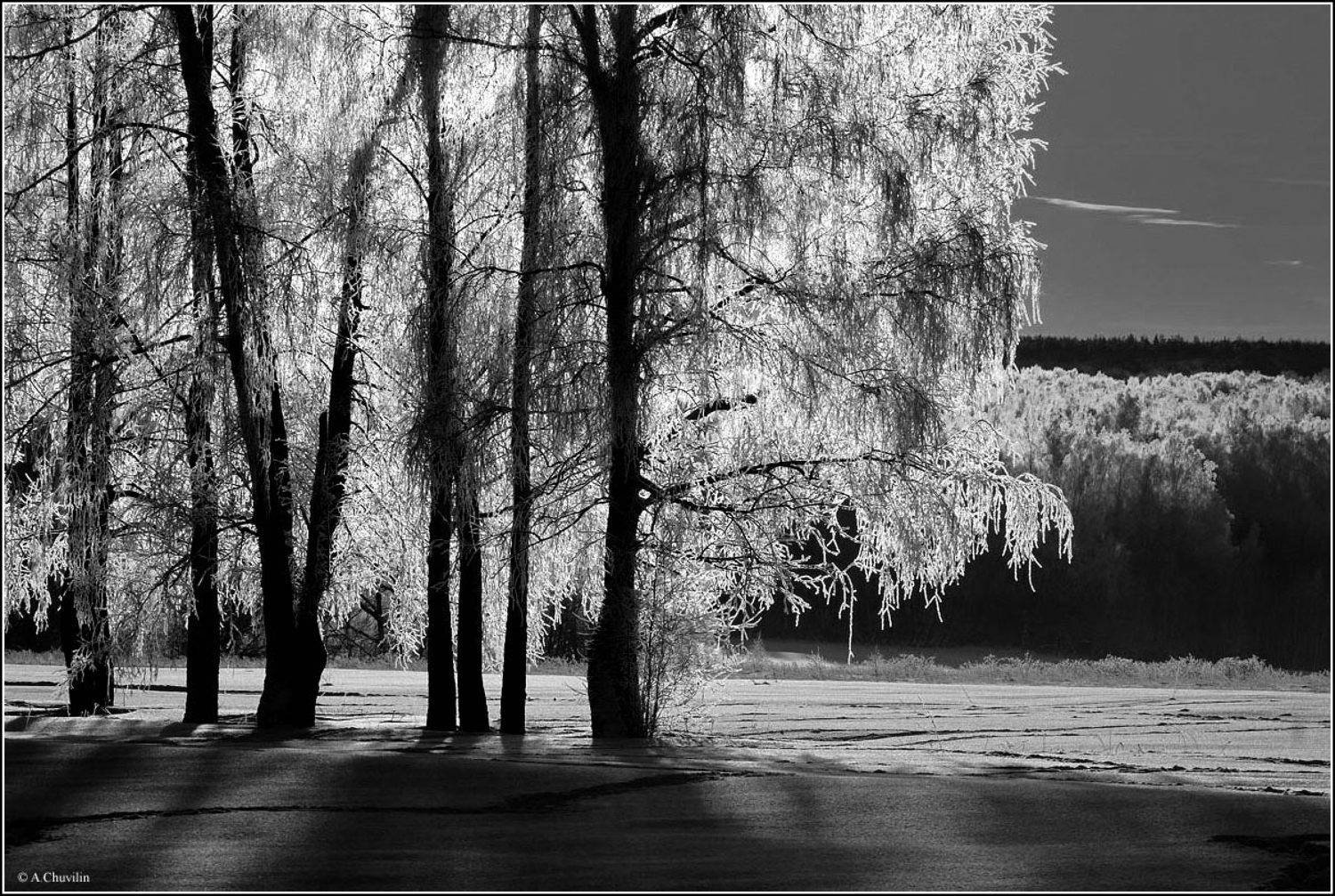 Занавес зимы. Автор: Александр Чувилин зима,январь,занавес,иней,восход, Александр Чувилин