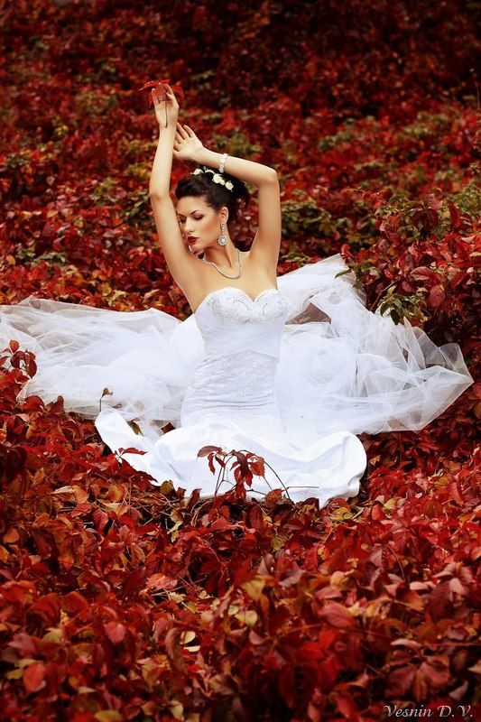 Лебедьphoto preview