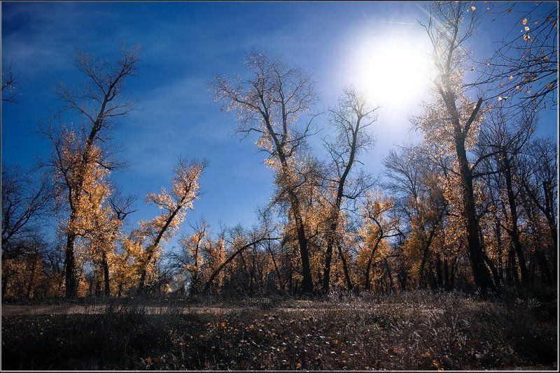 осеньphoto preview