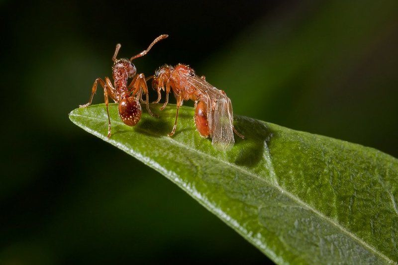 Please don´t fly away... фото превью