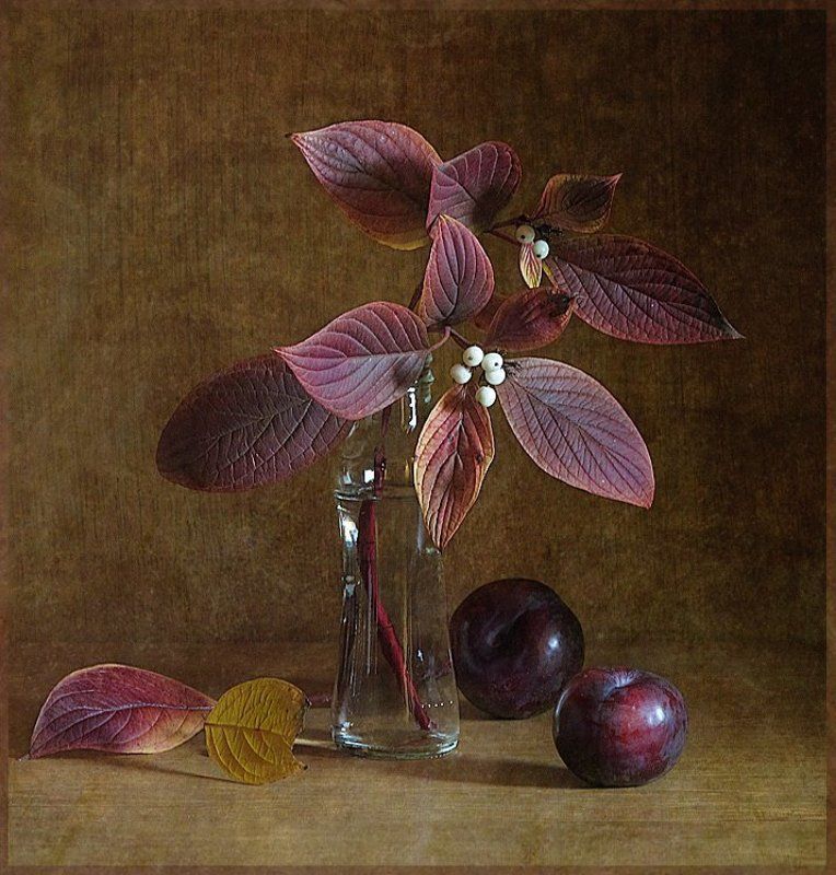 Глазки...photo preview