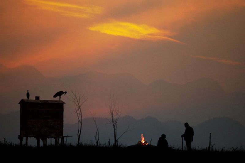 Сказки на ночьphoto preview