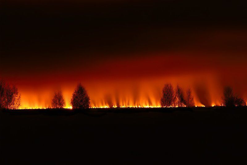 Tierra del Fuegophoto preview