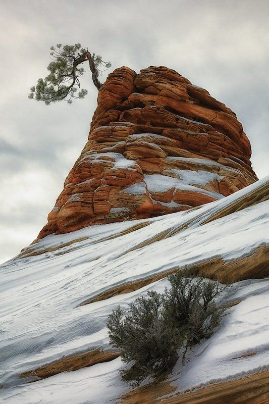 mc, usa, winter, zion Снежный перламутр Зиона фото превью