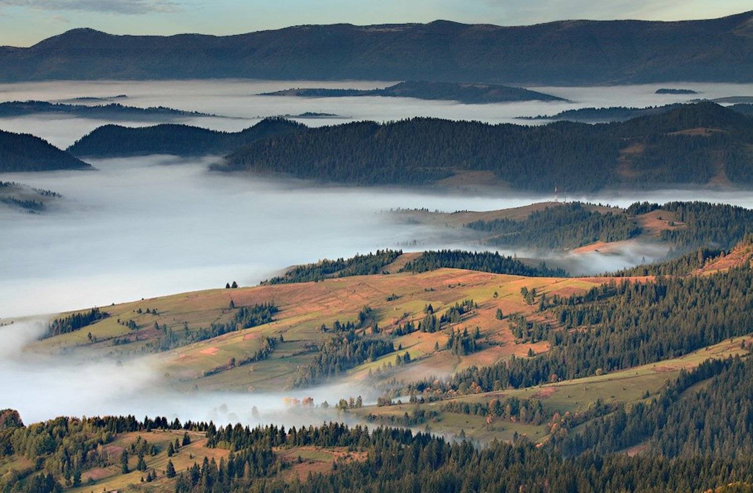 карпаты, горы, утро, туман, Михаил Глаголев