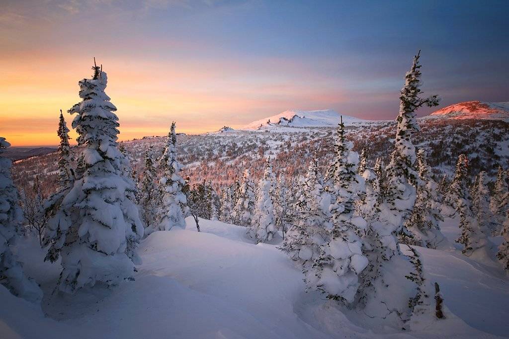 Pro красочный Шерегеш. Автор: Валерий Пешков шерегеш, гора зеленая, гора мустаг, вечер, пихты, свет, тени, краски, горная шория, Валерий Пешков