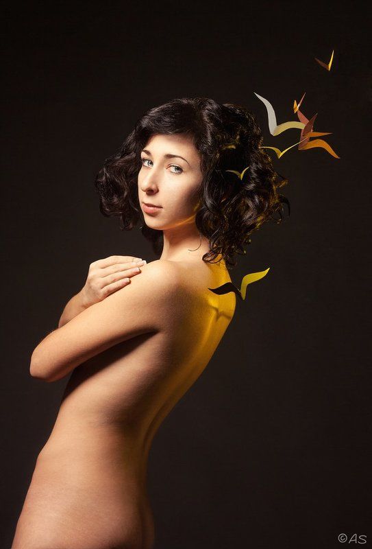 Birds and Sunphoto preview