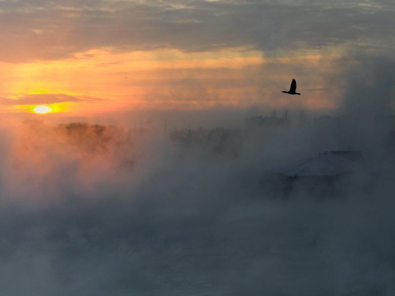 БАКЛАНЫ ЛЕТЯТ , ШАЛЬНЫЕ ЛЕТЯТ И НЕ ОЧЕНЬphoto preview