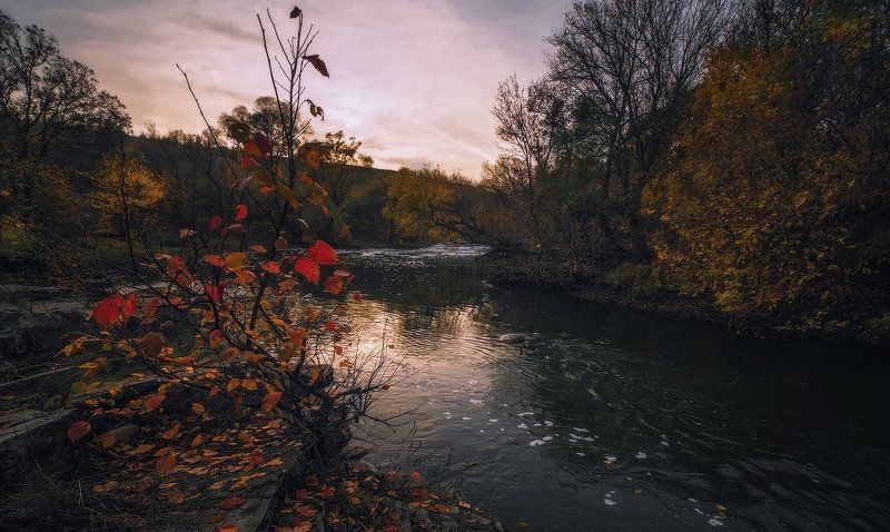 Поздняя осеньphoto preview