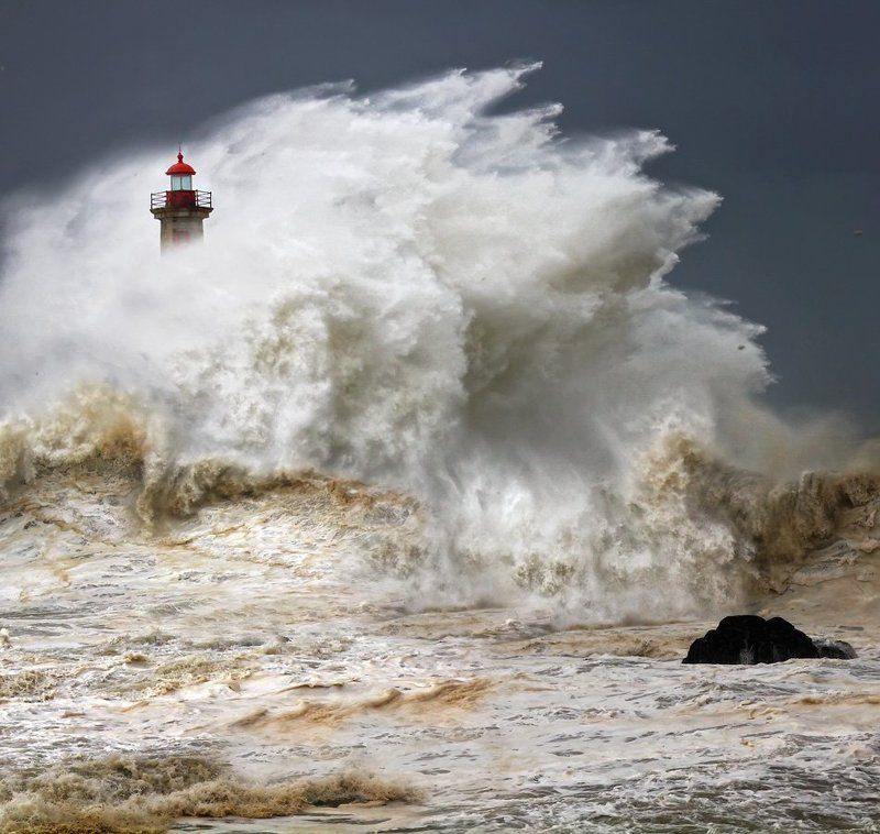 power of naturephoto preview