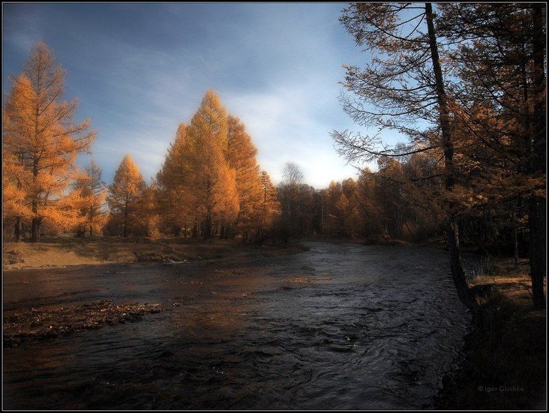 бурятия, река, лиственница, осень Осенний мотивphoto preview