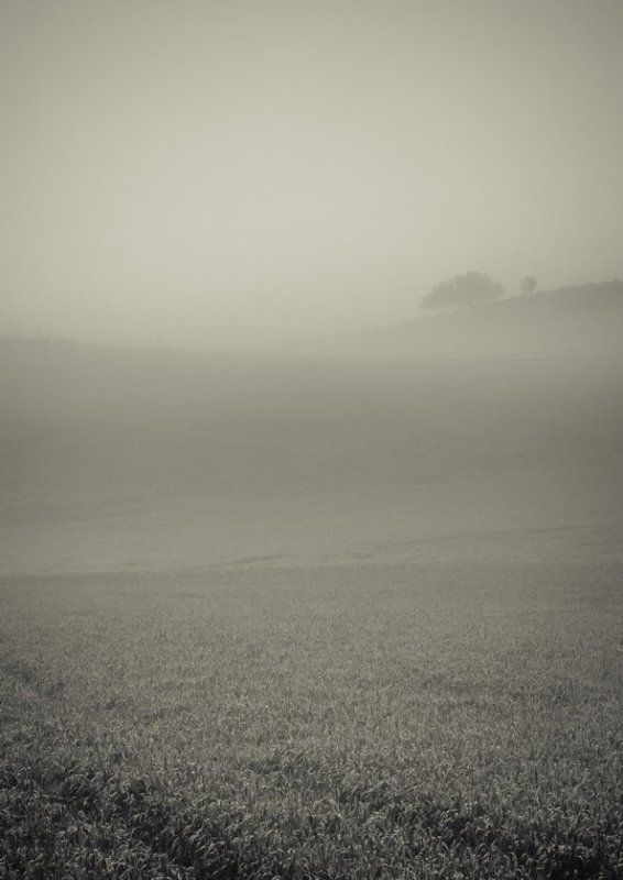 Тениphoto preview